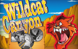 Wildcat Canyon